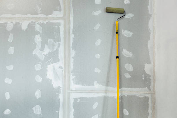 Best Mold-Related Health Consultation  in Aubrey, TX