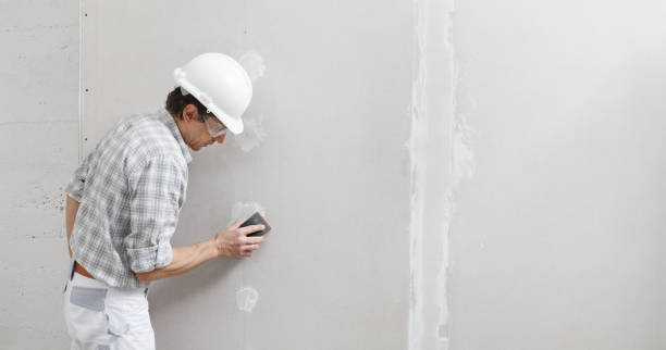 Best Airborne Mold Testing  in Aubrey, TX