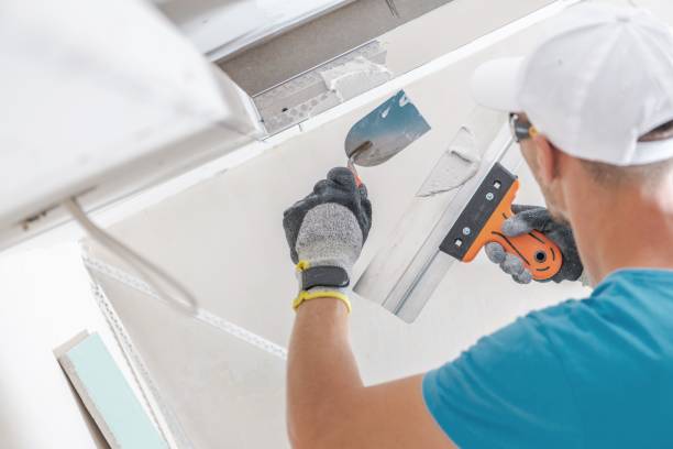 Best Mold Prevention Services  in Aubrey, TX